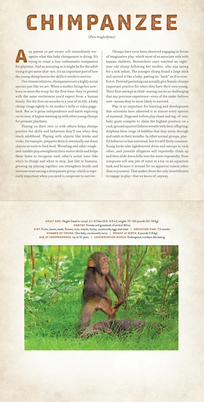 Sample content 3_Babies