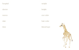 Sample content 3_Baby: A Keepsake Memory Book