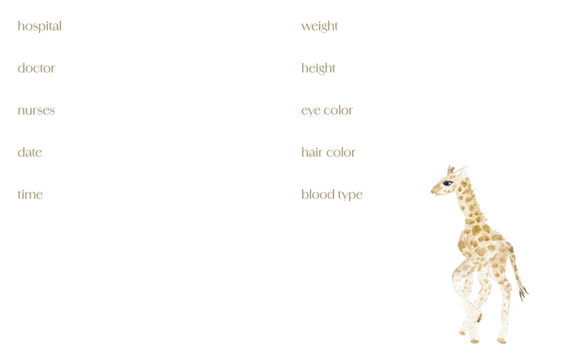 Sample content 3_Baby: A Keepsake Memory Book