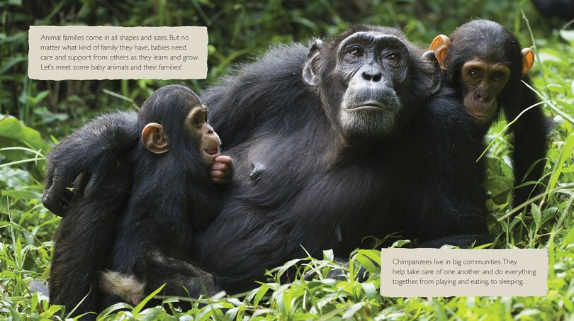 Aper&ccedil;u du contenu_Baby Animals with Their Families