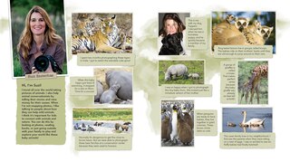 Aper&ccedil;u du contenu 4_Baby Animals with Their Families