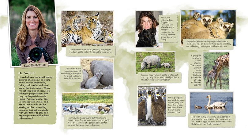 Aper&ccedil;u du contenu 4_Baby Animals with Their Families