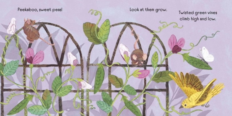 Sample content_Baby Botanicals: Peekaboo, Flowers!