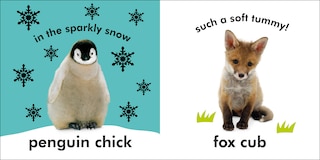 Sample content_Baby Touch And Feel: Baby Animals