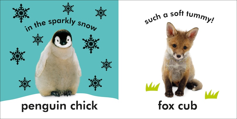 Sample content_Baby Touch And Feel: Baby Animals