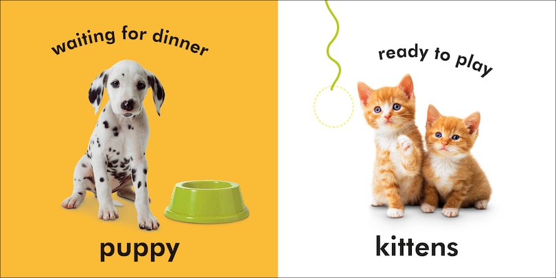 Sample content 5_Baby Touch And Feel: Baby Animals