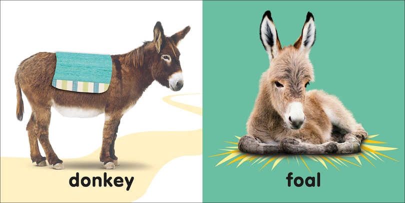 Sample content 2_Baby Touch And Feel: Bible Animals