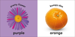 Sample content_Baby Touch And Feel: Colors
