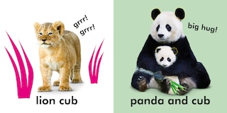 Sample content_Baby Touch and Feel Cuddly Animals