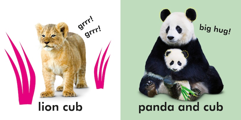 Sample content_Baby Touch and Feel Cuddly Animals