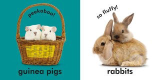 Sample content 2_Baby Touch and Feel Cuddly Animals