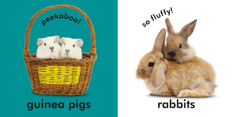 Sample content 2_Baby Touch and Feel Cuddly Animals