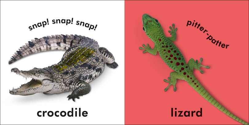 Sample content_Baby Touch & Feel Wild Animals