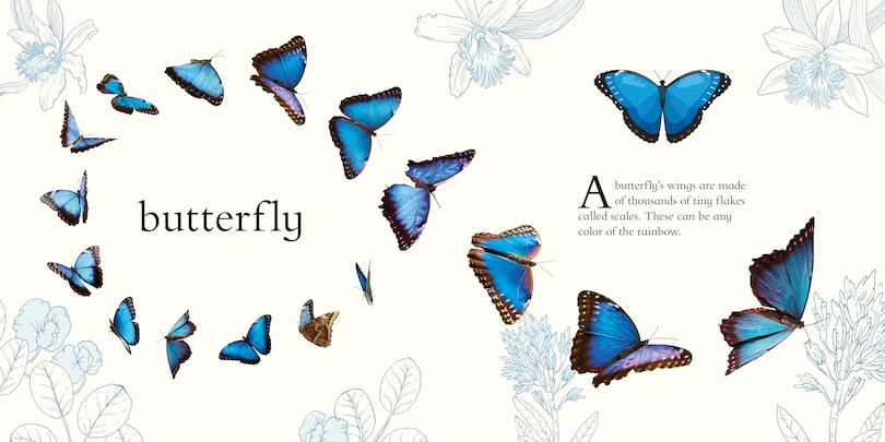 Sample content_Baby's First Animal Anthology