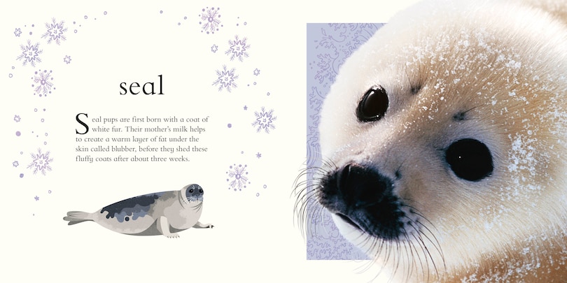 Sample content 2_Baby's First Animal Anthology