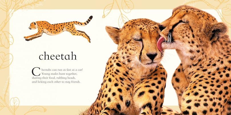 Sample content 3_Baby's First Animal Anthology