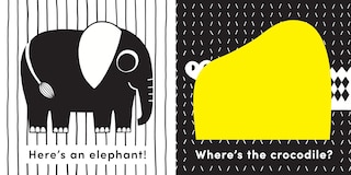 Aper&ccedil;u du contenu_Baby's First Cloth Book: Cuddly Lion