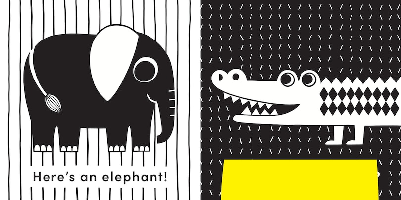 Aper&ccedil;u du contenu 4_Baby's First Cloth Book: Cuddly Lion