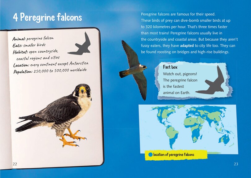 Aperçu du contenu 3_Back from the Brink