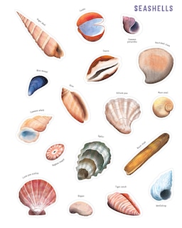 Aper&ccedil;u du contenu 2_Backpack Explorer Stickers: Ocean Adventure