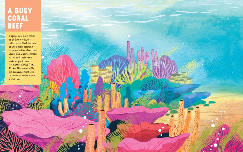 Aper&ccedil;u du contenu 4_Backpack Explorer Stickers: Ocean Adventure