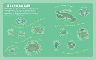 Aper&ccedil;u du contenu 5_Backpack Explorer Stickers: Ocean Adventure