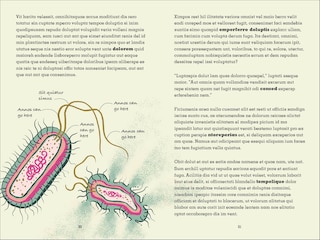 Sample content 4_Project Penicillin