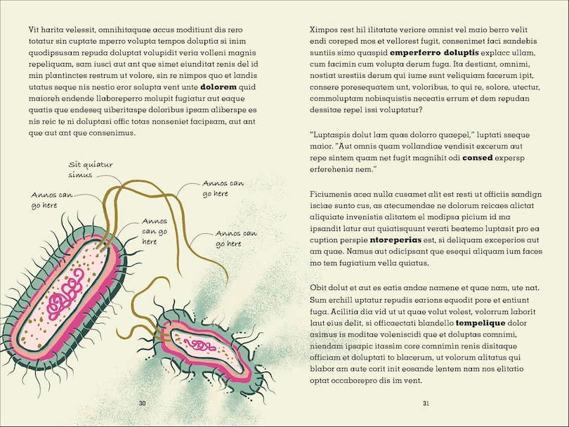 Sample content 4_Project Penicillin