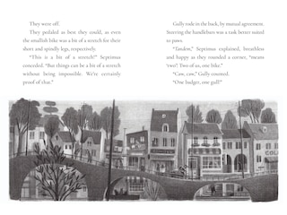 Sample content 4_Bad Badger