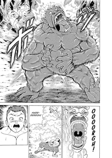 Sample content 2_Baki The Grappler (Perfect Edition) Vol. 6
