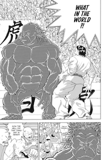 Sample content 4_Baki The Grappler (Perfect Edition) Vol. 13
