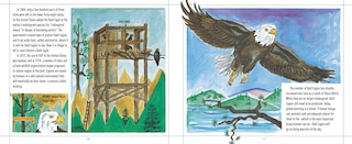 Aper&ccedil;u du contenu 3_Bald Eagles