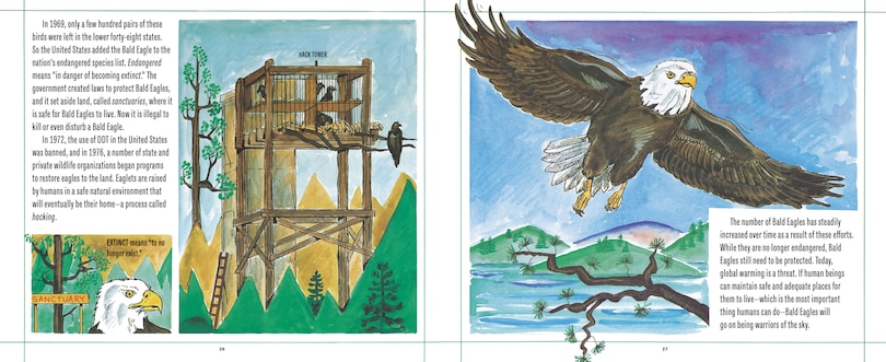 Aper&ccedil;u du contenu 3_Bald Eagles