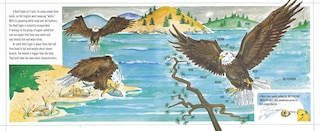 Aper&ccedil;u du contenu 5_Bald Eagles
