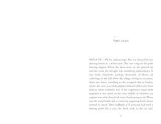 Aper&ccedil;u du contenu_Ballet Shoes for Anna