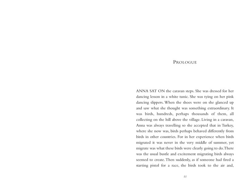 Aper&ccedil;u du contenu_Ballet Shoes for Anna