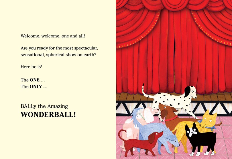 Sample content 2_BALLy the Amazing Wonderball