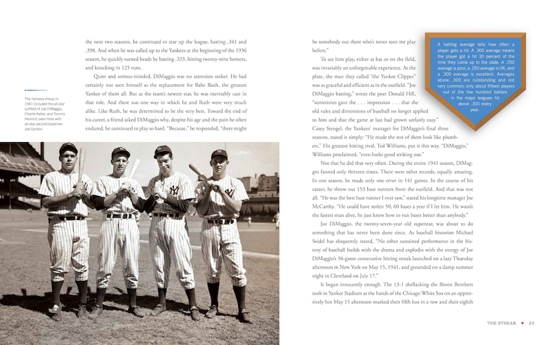 Aperçu du contenu_Baseball's Shining Season