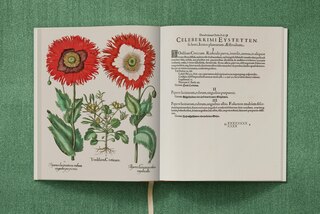 Sample content 5_Basilius Besler. The Garden at Eichstätt