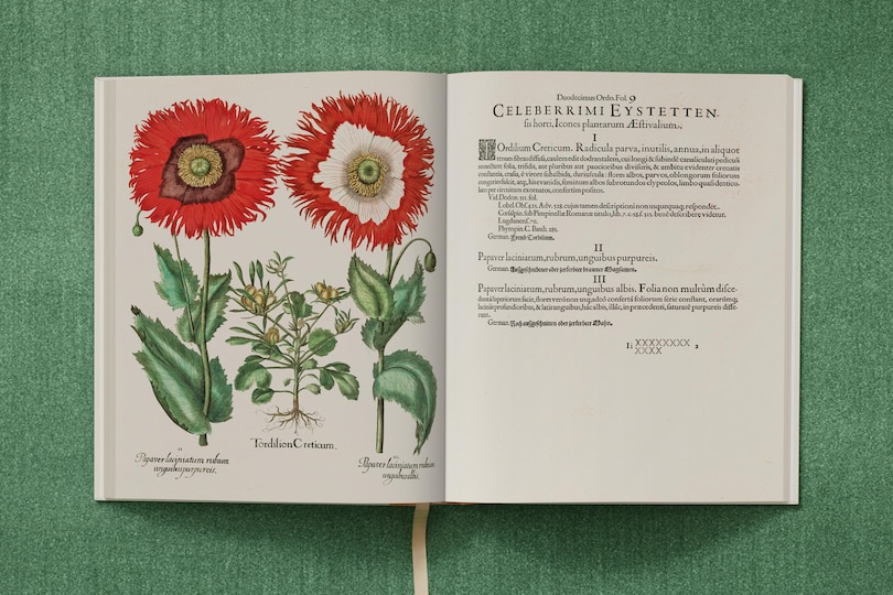 Sample content 5_Basilius Besler. The Garden at Eichstätt