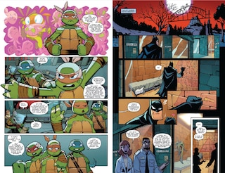 Sample content 5_Batman/Teenage Mutant Ninja Turtles Adventures