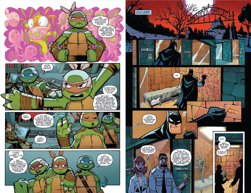 Sample content 5_Batman/Teenage Mutant Ninja Turtles Adventures