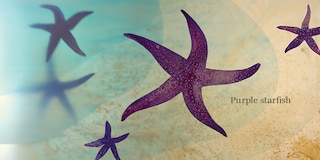 Sample content_Beach Baby