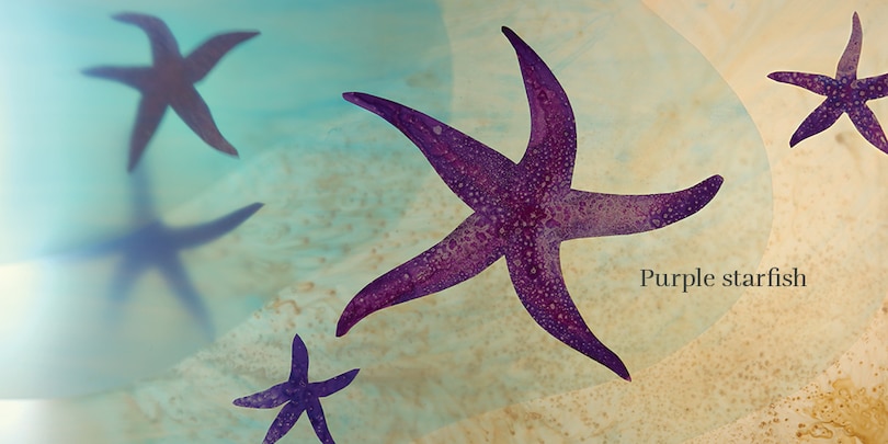 Sample content_Beach Baby