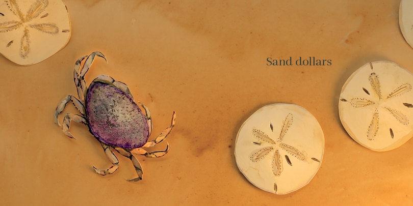 Sample content 2_Beach Baby