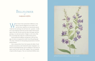 Aper&ccedil;u du contenu_Beatrix Potter&rsquo;s Botanical