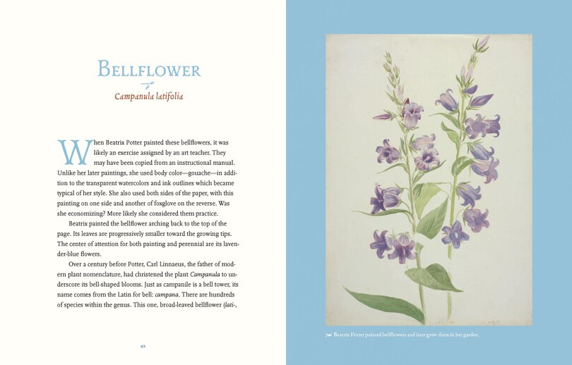 Aper&ccedil;u du contenu_Beatrix Potter&rsquo;s Botanical