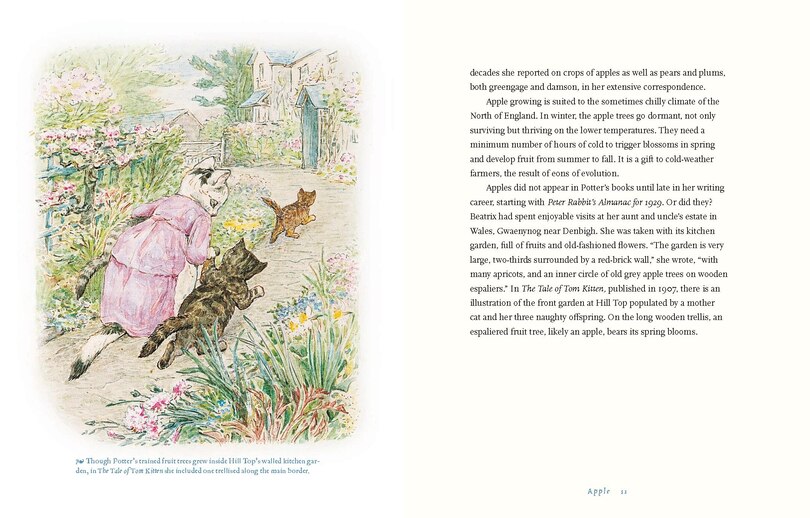 Aper&ccedil;u du contenu 2_Beatrix Potter&rsquo;s Botanical