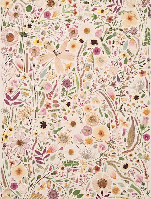 Sample content 2_Beautiful Blooms Wrapping Paper Book