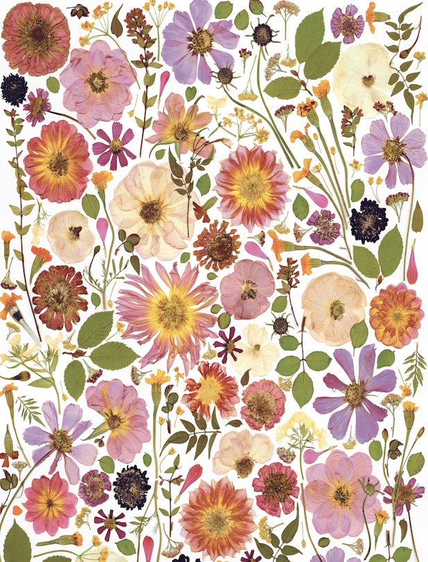 Sample content 4_Beautiful Blooms Wrapping Paper Book